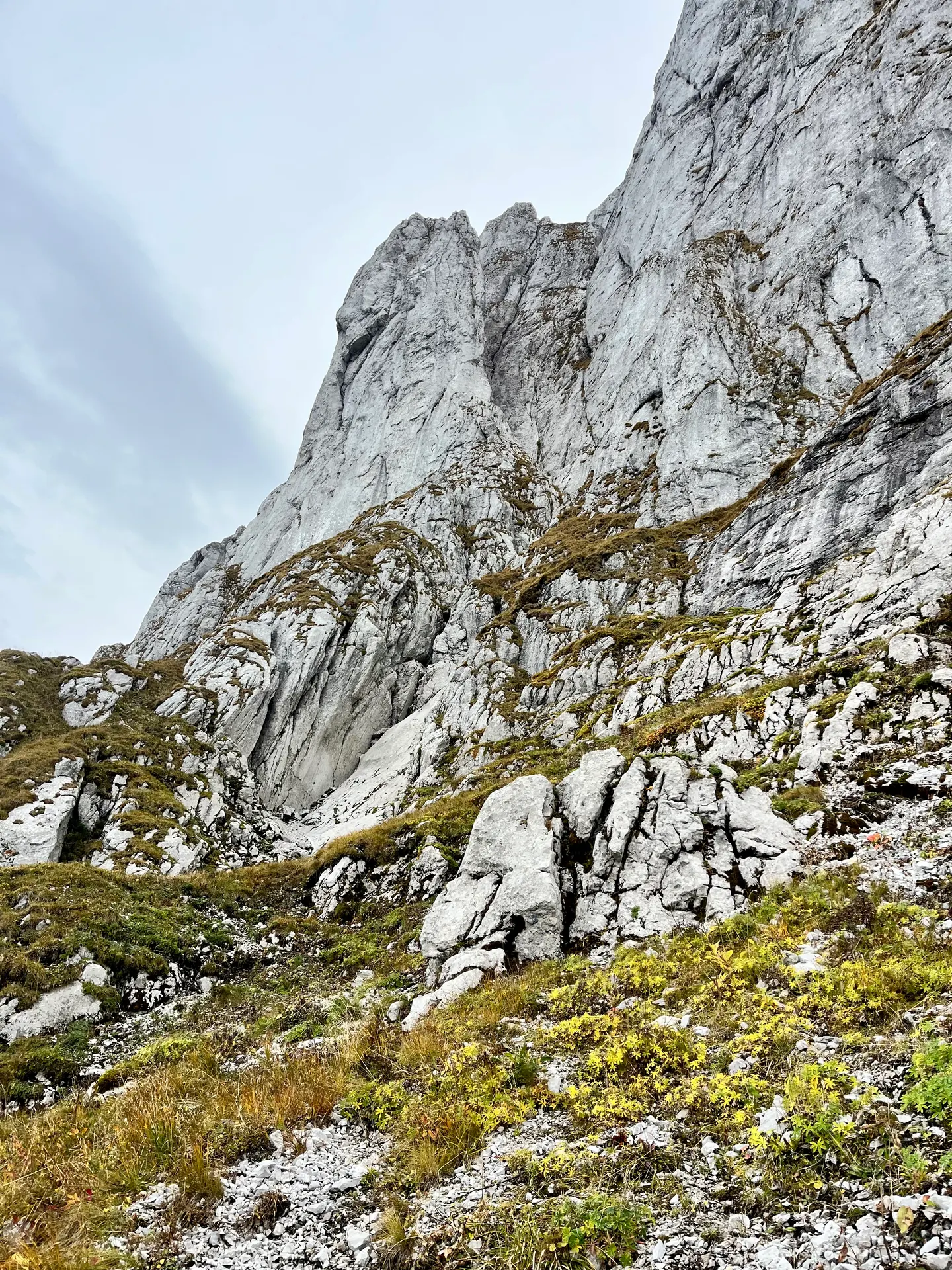 Dent d'Oche, face nord voie Ravanel à l'attaque